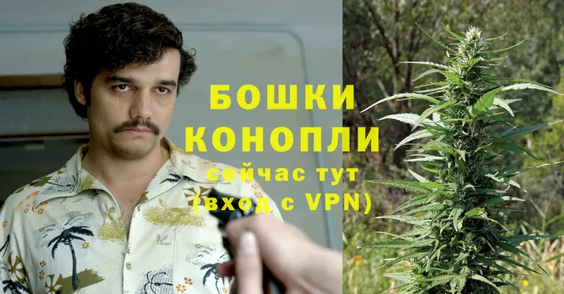 Конопля OG Kush  Агрыз 